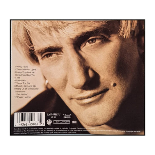Rod Stewart: A Spanner In The Works