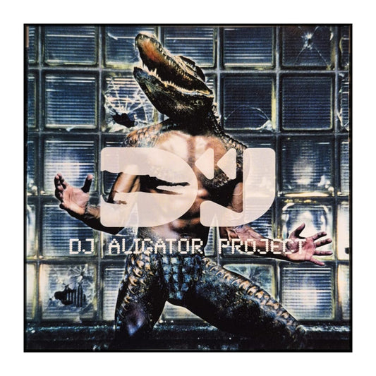 Dj Aligator Project: The Whistle Song