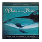 Atmosperic Moods: Whales Of The Pacific
