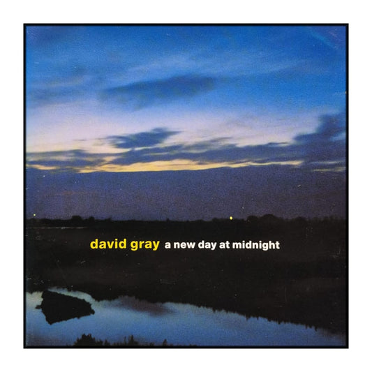 David Gray: A New Day At Midnight