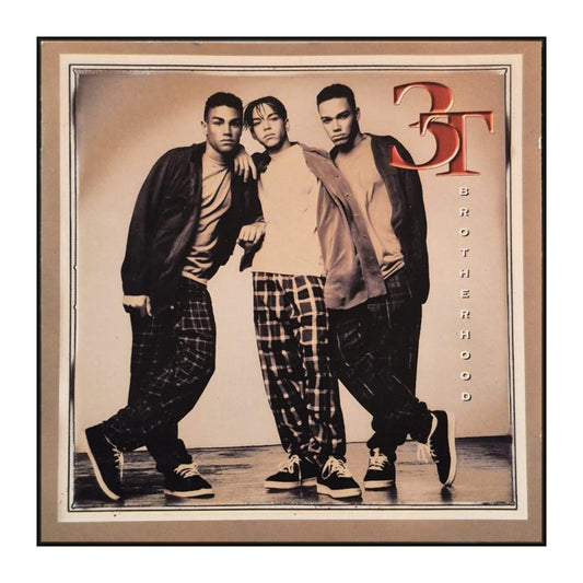 3T: Brotherhood