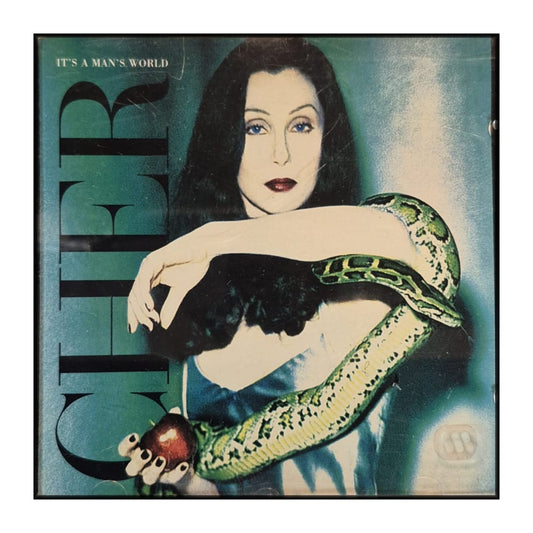 Cher: It'S A Man'S World