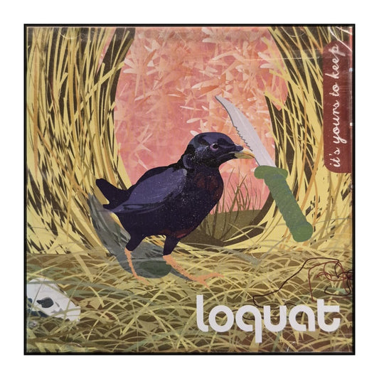 Loquat: 10 Years In The Loquat