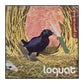 Loquat: 10 Years In The Loquat