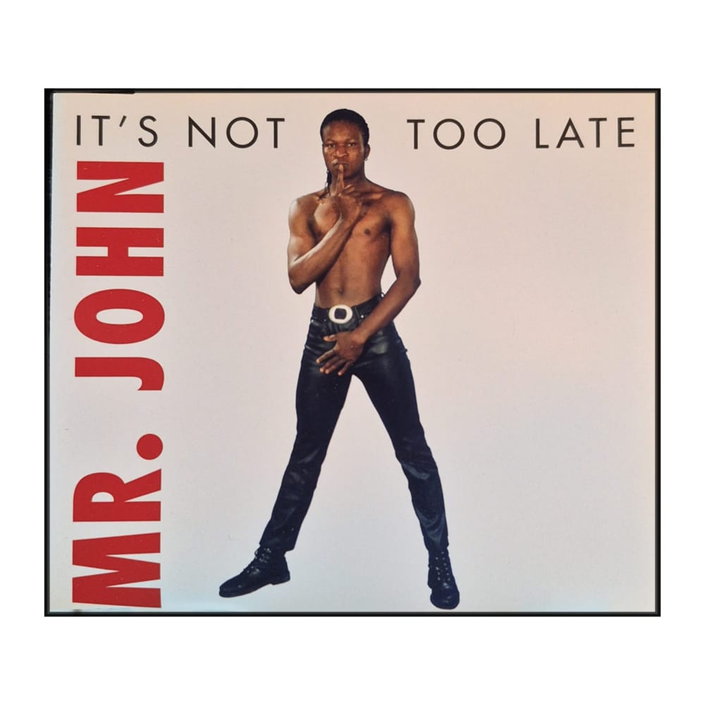 Mr. John: It'S Not Too Late