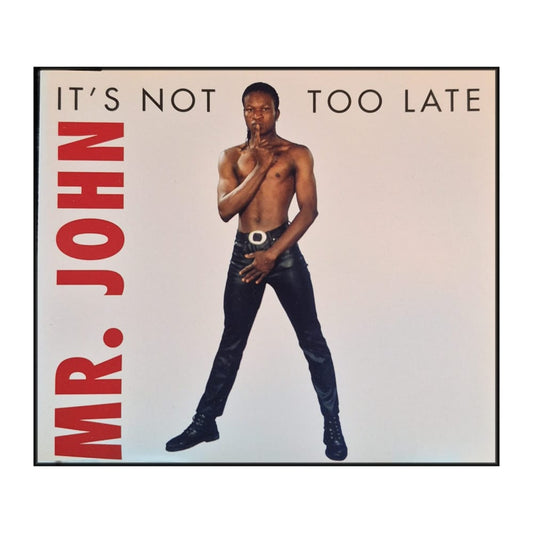 Mr. John: It'S Not Too Late