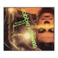 Robbie Williams: It'S Only Us / She'S The One