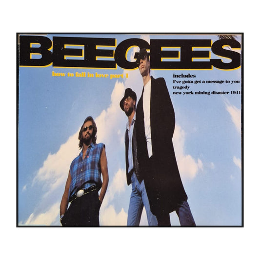 Bee Gees: How To Fall In Love 1