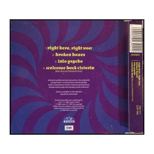 Jesus Jones: Right Here Right Now