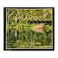 Classical Moods Disc-3