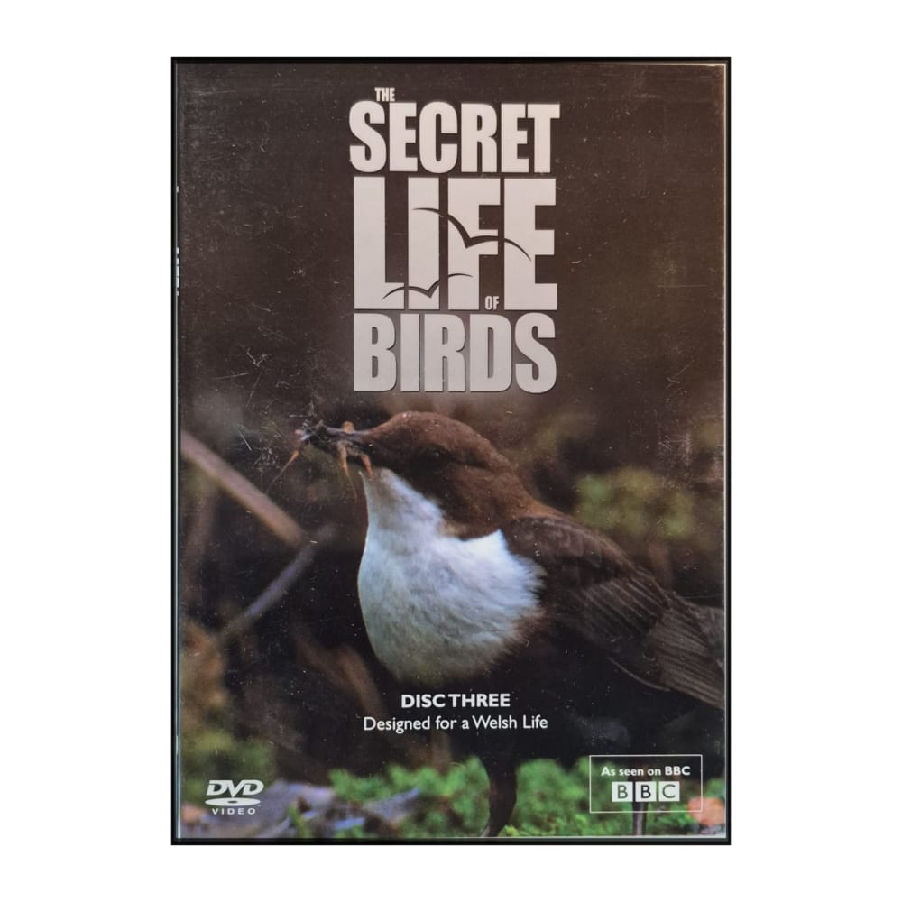The Secret Life Of Birds Disc-3