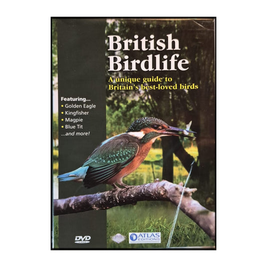 British Birdlife