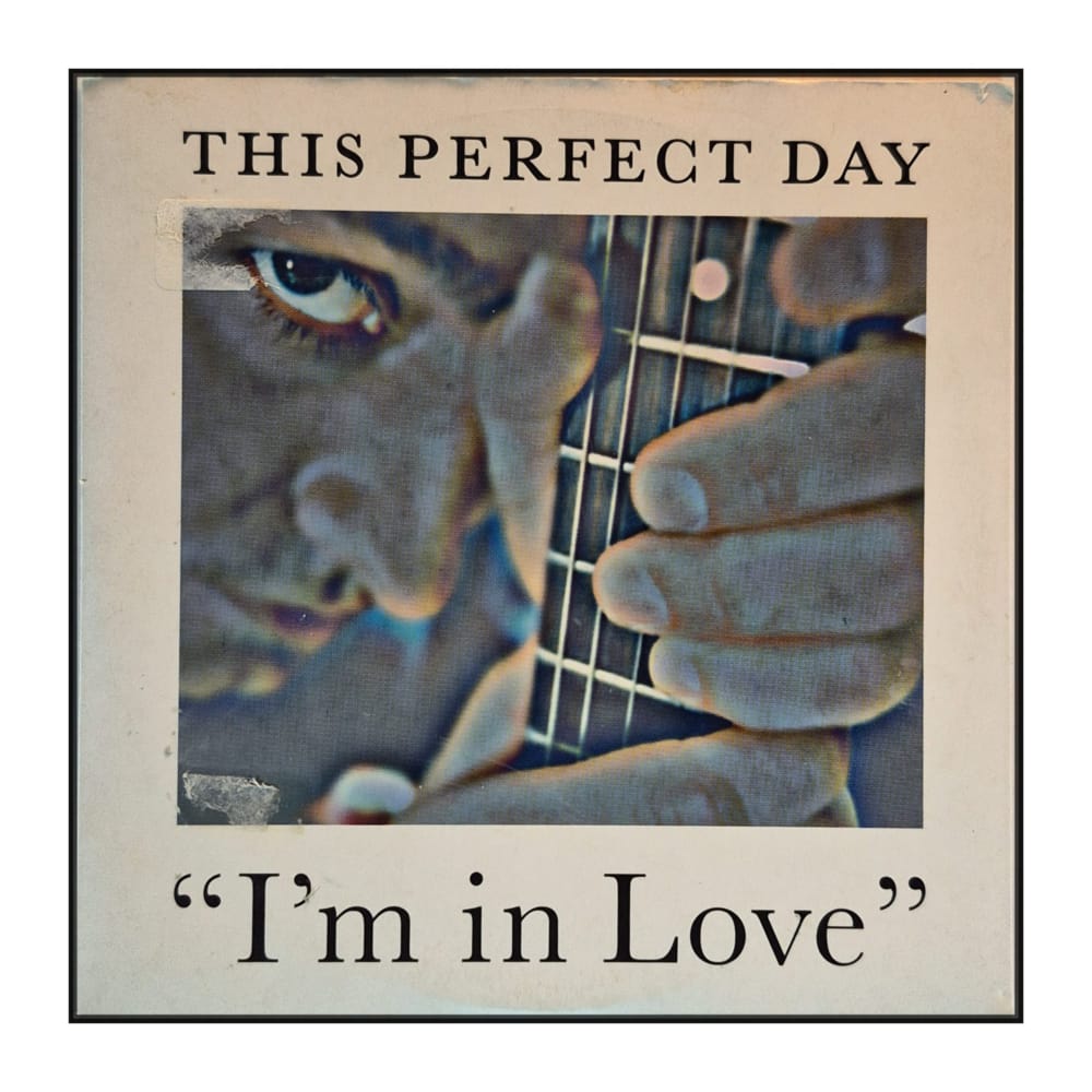 This Perfect Day: I'm In Love