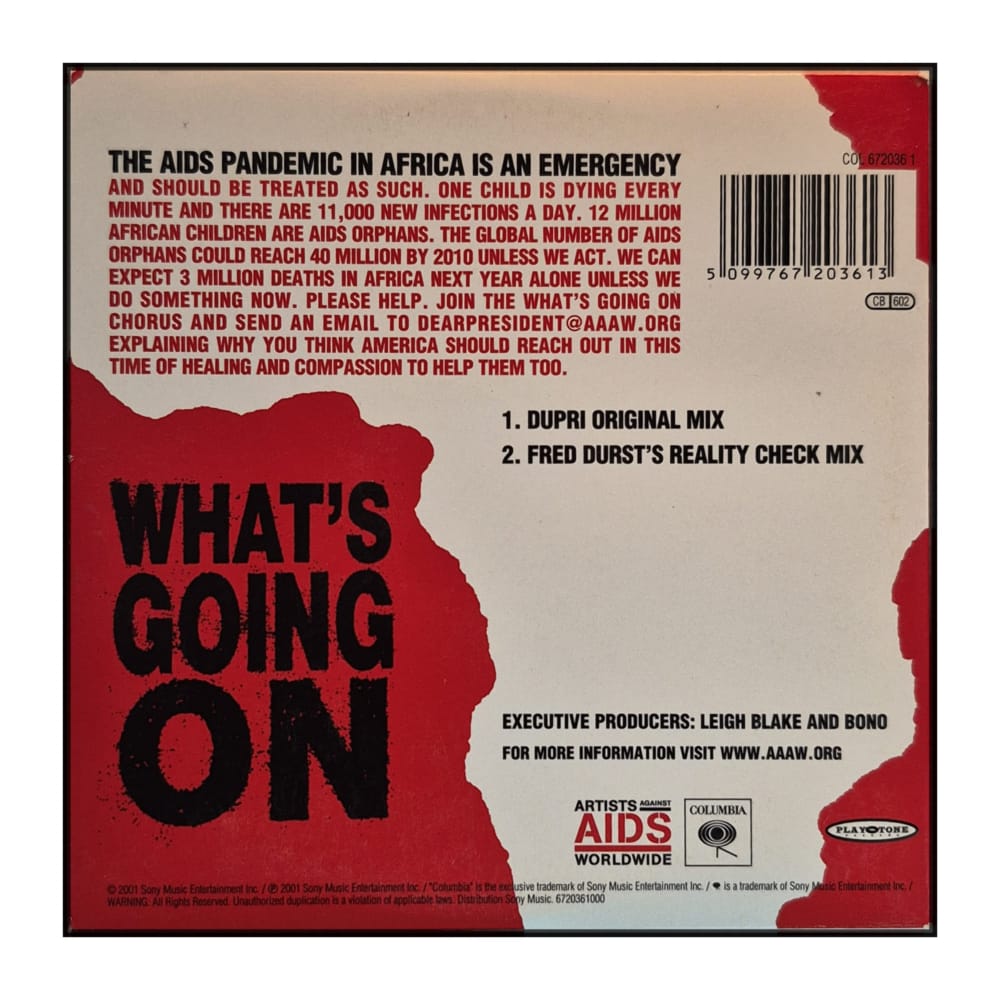 Artists Against AIDS Worldwide: What's Going On