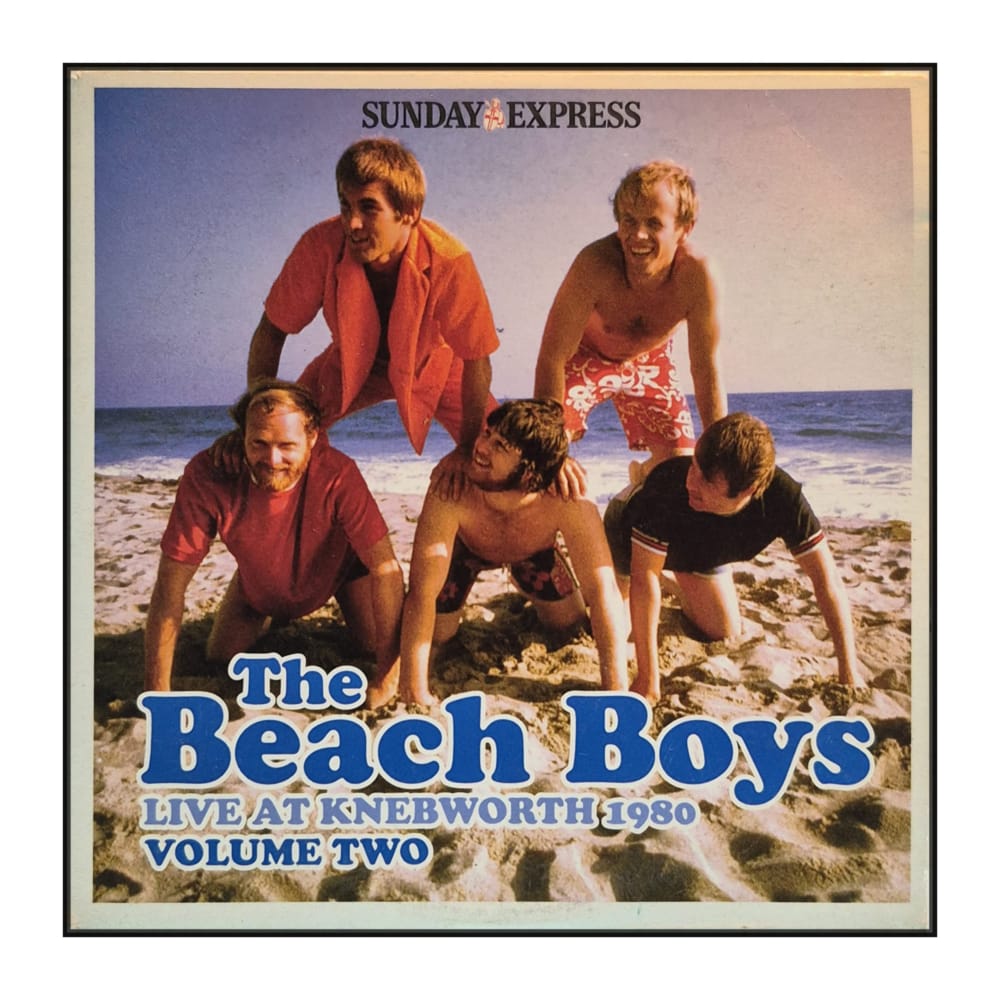 The Beach Boys: Live At Knebworth V2