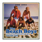 The Beach Boys: Live At Knebworth V2