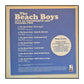 The Beach Boys: Live At Knebworth V2