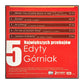 Edyta Górniak: 5 Największych Przebojów