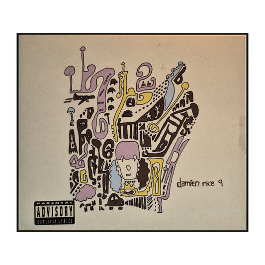 Damien Rice: 9