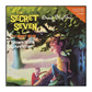 Enid Blyton: The Secret Seven