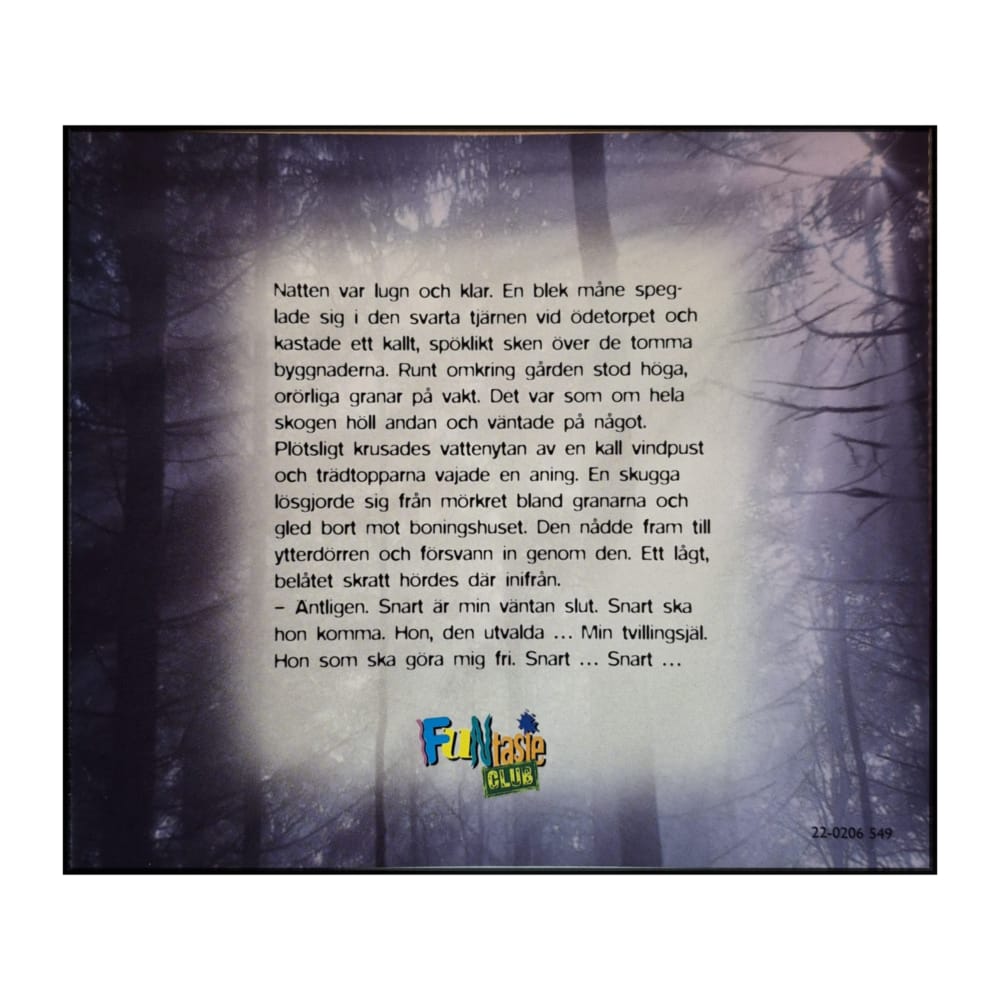 Eli B. Toresen: Tvillingsjälar